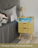 Nightstand with Charging Station and LED Lights,Modern Bedside Table with 2 Storage Drawer and Open Wood Shelf, for Bedroom and Small Spaces,Night Stand with Solid Wood Legs (Yellow Oak) by CozyNest Decor