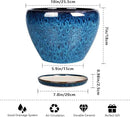 10 Inch Ceramic Planter Pot, Ceramic Plant Pot for Indoor Outdoor Plants, Large Flower Pot with Drainage Hole and Saucer, Blue by GreenHaven Gardens