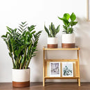 vancasso Ceramic Pots for Plants, Plant Pots for Indoor Plants, 6.25+8.25+10.25 Inch Ceramic Planters, Flower Pots with Drainage Holes, Planters Pot for Indoor House Plant, Set of 3, Khaki by CozyNest Decor