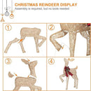 2 Pcs Reindeer Christmas Decoration, Xmas Lighted Golden Shimmering Doe and Fawn Display Set with 105 Warm White Lights for Yard Lawn Indoor Outdoor by CozyNest Decor
