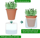 D'vine Dev 4 Inch Design Self Watering Planter for Indoor Plants, Terracotta Pot with Cylinder Glass Cup, Set of 4, 37-X-A-4 by GreenHaven Gardens
