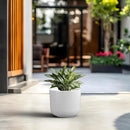 Kante Round Concrete Planter, 11 Inch Dia Classic Style Large Plant Pot with Drainage Hole for Indoor & Outdoor Plants, Ideal for Home, Patio, Garden, White by GreenHaven Gardens