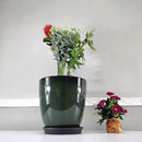 FixtureDisplays® Garden Green Plastic Round 11.8 Inches Diameter 11.8 Inches Tall Planter Resin Glazed Faux Ceramic Flower Pots Drainage Hole with Saucer Decorative Pot 15675-NF by CozyNest Decor
