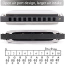 SWAN Blues Harmonica C Key for Kids Adults, 10 Hole Diatonic Harmonica Key of C, Metal Blues Harp for Beginners Students, Mouth Organ in Case, Silver by TinyTreasures Baby Boutique