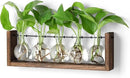 YIBOT Plants Propagation Stations,Plant Terrarium with Wooden Stand,Wall Hanging Glass Planter Plant Propagation Vase for Indoor Office Home Garden Decor Plant Lover Gifts for Women-5 Bulbs by CozyNest Decor