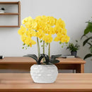 Orchid Artificial Flowers with White Vase Large Silk Faux Phalaenopsis Flowers for Dining Room Table Floral Centerpieces Indoor Decoration,Yellow by CozyNest Decor