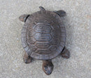Garden Decoration Turtle Cast Iron Key Hider Stone Diversion Safe Key Outside Hider Hide-A-Key Holder Safely Hiding Your Spare Keys for Outdoor Garden or Yard, Geocaching by GreenHaven Gardens
