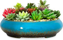 Succulent Pots - 11.5 Inch Ceramic Bonsai Pots with Drainage, Large Shallow Succulent Planters for Indoor Outdoor Plants, Round Glazed Cactus Flower Plant Container Bowl Home Desk Decor(Blue) by GreenHaven Gardens