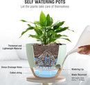 10 inch Self Watering Hanging Planters for Indoor Plants, 2 Pack Hanging Baskets for Outdoor Plants, Hanging Flower Pots with Drainage Holes & 2 Kinds of Plant Hangers for Home Decor, Green by GreenHaven Gardens