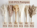 110 PCS Dried Pampas Grass Bouquet, Boho Table Decor, Bunny Tails Dried Flowers, Brown Pompas, White Pampas Grass for Wedding, Home, Rustic Party, Baby Shower Decorations by CozyNest Decor