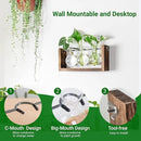 Ivolador Wall Hanging Plant Propagation Station,Bulb Plant Terrarium with Wooden Stand,Unique Gardening Gifts for Women Plant Lovers,Hydroponic Indoor Planter Home Office Decor-3 Bulb Glass Vases by GreenHaven Gardens