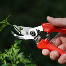 BUGUI Pruning Shears Garden Shears - Premium Alloy Steel Bypass Pruner, Precision-ground Blades, Heavy Duty Gardening Tools, 7" (H201) by GreenHaven Gardens