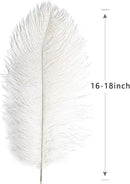 THARAHT 12pcs White Ostrich Feathers Natural Bulk 16-18Inch 40cm-45cm for Wedding Party Centerpieces Easter Gatsby and Home Decorate Ostrich Feathers by CozyNest Decor