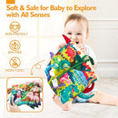 hahaland Baby Books 2PCS - Baby Toys 0-6 Months - Touch & Feel Tummy Time Sensory Soft Books for Babies 0-12 Months, Stroller Travel Toys by TinyTreasures Baby Boutique