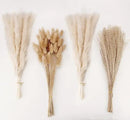 Natural Dried Pampas Grass Decor, White Pampas Grass， Bunny Tails Dried Flowers, Reed Grass Bouquet for Wedding Boho Flowers Home Table Decor, Rustic Farmhouse Party (100 in Total ) by CozyNest Decor