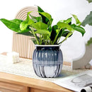 Small Hanging Planters Self Watering 5 Inch, 3 Set Hanging Plant Pot for Indoor Outdoor Plants, Hanging Flower Pots with Drainage Hole & 2 Kinds of Plant Hangers for Garden Home Decor by GreenHaven Gardens