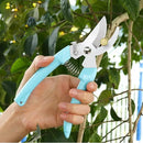 Premium Garden Shears, Pruning Scissors Gardening Tools, Pruners For Flower, Bushes, Rose And Fruit Tree, Use For Florist, Yard And Orchard the Plant Clippers, Sharp White Steel Anvil Snips by GreenHaven Gardens
