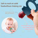Baby Solids/Frozen Fruit Feeder Pacifier, Infant Teether Toy 4M+, BPA-Free Silicone Pouch & Nipple, Safely Introduce Solids, Teething Relief, 2-Pack - Blue/Green (Rabbit) by TinyTreasures Baby Boutique