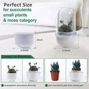 Smart Venus Fly Trap Terrarium Pot with Timer&Fan,Succulent Planter with Grow Light,Indoor Plant Pots Terrarium with Drainage Hole for Carnivorous Plants,Sundew Moss,Cactus(No Plant) by GreenHaven Gardens