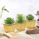 Hollyone Small Succulents Artificial 3 Pcs Faux Succulents with Gold Pots Mini Fake Succulent Plants Indoor Plant Ceramic Pots for Modern Office Desk Bathroom Shelf Living Room Home Decor by GreenHaven Gardens