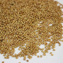 Crimson Clover Seeds (Coated) - 1 oz - Garden Cover Crop, Non-GMO, Open Pollinated, Perennial, Heirloom - Coated for Easy Planting by GreenHaven Gardens