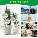 13 oz Up 2 Weeks Large Plant Watering Globes - Self Watering Bulbs for Indoor & Outdoor Plants, Glass Water Globes, Slow Watering for Plants While Away, Self Watering Planter Insert 4 Pack by GreenHaven Gardens