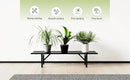 Zhongma One Tier Metal Plant Stand (35.43 L x 8.66 W x 7.9 H) Heavy Duty Plant Holder for Home, Window,Garden, Plant Lovers, Display Stand by GreenHaven Gardens
