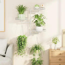 OVICAR Rotating Window Plant Shelves - Indoor Wall Plant Stand 3-Tier Floral Metal Window Shelf Holder for Multiple Plants with Hanging Hooks Home Decor White by GreenHaven Gardens