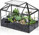 Ferrisland Glass Terrarium Greenhouse House Shape Display Box Planter for Succulents Plant Terrarium Container Mordern Tabletop Decor Gardern DIY Kit by GreenHaven Gardens