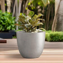 Kante 10 Inch Dia Round Concrete Planter, Indoor Outdoor Large Plant Pot with Drainage Hole and Rubber Plug for Home Patio Garden, Buff Concrete by GreenHaven Gardens
