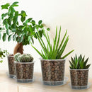 4/5/6/7 Inch Clear Nursery Pots for Plants with Sacuers 15 Pack, Plastic Flower Pots with Drainage Holes, Variety Pack Seedlings Garden Pot for Indoor Outdoor (4 inch)