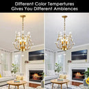 Ganeed Crystal Chandeliers,K9 Crystal Pendant Light with 3-Light Chandelier Lighting Fixtures,Ceiling Light for Living Room Bedroom Restaurant Hallway (Gold) by CozyNest Decor