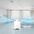 IQAir HealthPro Compact XE Air Purifier - Compact HyperHEPA Fration for Rooms up to 1240 sq ft - Allergens, Smoke, Dust, Mold, Pet Dander, Swiss Made, WiFi Enabled by TinyTreasures Baby Boutique