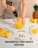 Sangcon 5-in-1 Immersion Blender Handheld, Hand Blender with 1000ml Blending Cup Storage Base, 2-Speed Adjustable Stick Blender, 304 Stainless Steel Blades, Detachable Blender, Whisk, Milk Frother by TinyTreasures Baby Boutique