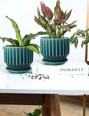AISBUGUR Plant Pots 6 inch Ceramic Pots for Indoor Plants Set of 2 Flower Pots Unique Crackle Glaze Design Plant Pots with Drainage Hole and Saucer Come with Drainage Nets (Aqua Green) by GreenHaven Gardens