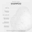 SEEN Shampoo - Scented - Non-Comedogenic & Sulfate-Free Hair Shampoo- Dermatologist-Developed - Safe for Sensitive & Acne Prone Skin by TinyTreasures Baby Boutique
