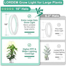 LORDEM 10" Grow Light for Indoor Plants, Full Spectrum Plant Lamp with160 LEDs, 4H/8H/12H Timer, 10 Dimmable Levels, 3 Spectrum Modes, Height Adjustable 61", Ideal for Growing Large Tall Plants by GreenHaven Gardens