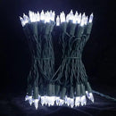 MULTI-SPARKING White Christmas LED Lights - 2 Pack 100 Count Cool White Holiday String Lights for Tree, Party, Wedding, Indoor and Outdoor Use, 2 Sets 33 Feet Green Wire, UL Certified, Connectable by GreenHaven Gardens