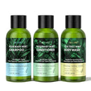 Travel Shampoo Conditioner and Body Wash Gift Set Trio, Travel Size Hair Care & Body Care for Trip, Outdoor, Camping, Hotel & Gyms, Anti-Dandruff, Nourish, Gentle For Baby, 3.38 Oz Travel Size Bottles by TinyTreasures Baby Boutique