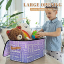 Custom Storage Basket with Name, Personalized Storage Bins with Zipper Lid, Foldable Fabric Storage Box Large capacity with Handle Purple by TinyTreasures Baby Boutique