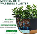 8 Inch Pots for Indoor Plants, Self Watering Planters with Drainage and Saucers, Plastic Outdoor Flower Pot, Set of 2, Grey by GreenHaven Gardens
