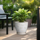 Pots for Plants 10 Inch - Ceramic Planter Large Plant Pot for Indoor Plants Outdoor Round Flower Pot with Drainage Hole and Saucer Home Garden Decor White by CozyNest Decor