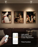 EZVALO Battery Powered LED Spotlight Indoor, Wireless Picture Lights with Remote,5500mAh Rechargeable Mini Display Light, Uplighting Indoor for Artwork Tree Painting Portrait (white-1Pack) by CozyNest Decor