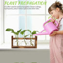 Plant Propagation Station Plant Terrarium Unique Birthday Gifts for Women Plant Lovers Home Office Decor Planter with Wooden Stand - 3 Bulb Glass Vase by GreenHaven Gardens