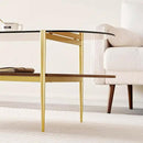 Oval Glass Coffee Table, Mid-Century Modern Design, L41 x W21 x H17 inch, for Living Room, 2-Tier Structure, Amber Glass Top and Walnut Finish Wood Shelf, Conical Legs with Gold Finish Frame by CozyNest Decor