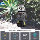 Galashield Owl Decoy to Scare Birds Away Scarecrow Fake Owl with Rotating Head 15" Tall by GreenHaven Gardens
