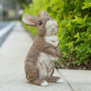 Bunny Statue Garden Statues Rabbit Figurines Decor Outdoor Polyresin Easter Decorations Bunnies Gifts Home House Kitchen Figurine Patio Lawn Yard Art Housewarming Funny Decoration 9.5inch by GreenHaven Gardens
