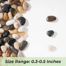 SIDONG 10 LB Mixed River Rocks, 0.3-0.5 Inches High Polished Pebbles for Indoor Plants, Aquarium Rocks Used in Fish Tank, Decorative Stones for Plants, Vases, Home Décor, Crafting, Garden Landscaping by GreenHaven Gardens