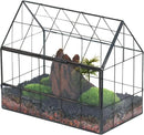 NCYP Geometric Glass Terrarium with Front Opening Door, House Shape Closed Micro Landscape Planter Box for Small Succulent, Cacti - Home Indoor Tabletop Decor, Handmade, Black (No Plants) by GreenHaven Gardens