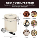 ShanSon Coffee Canister Airtight Coffee Container Stainless Steel Coffee Bean Storage Container with Scoop Coffee Canister for Beans Grounds Sugar Flour Tea Cereal,16OZ, Beige by CozyNest Decor